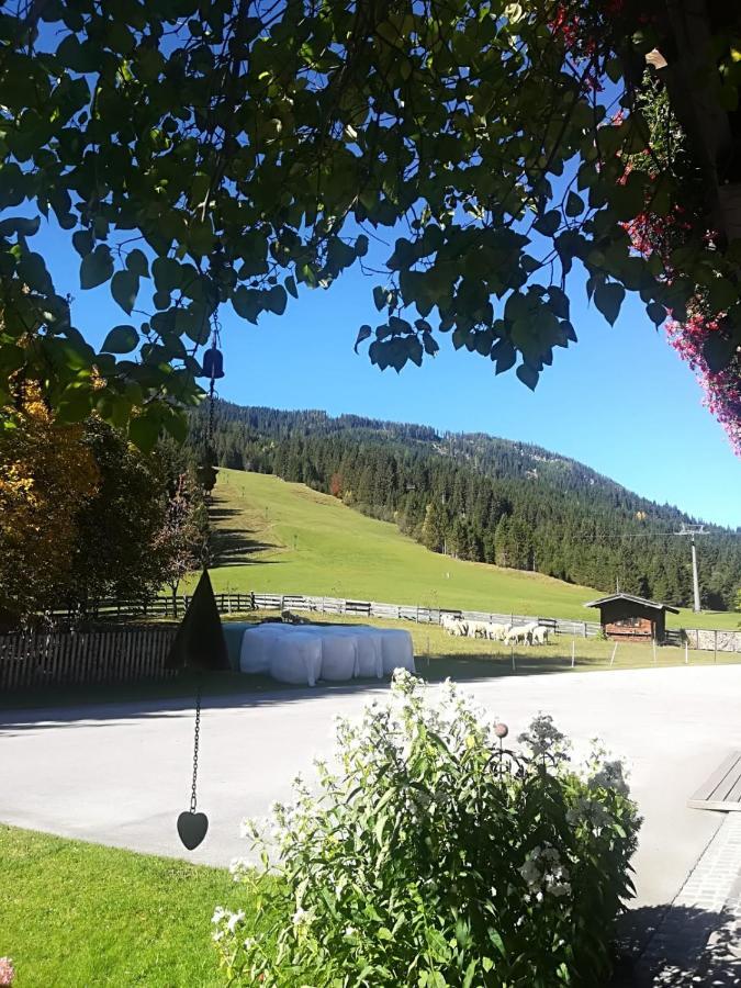 Walchauhof Hotel Flachau Exterior photo