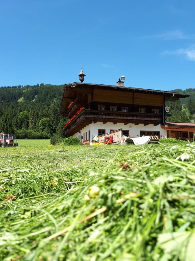 Walchauhof Hotel Flachau Exterior photo